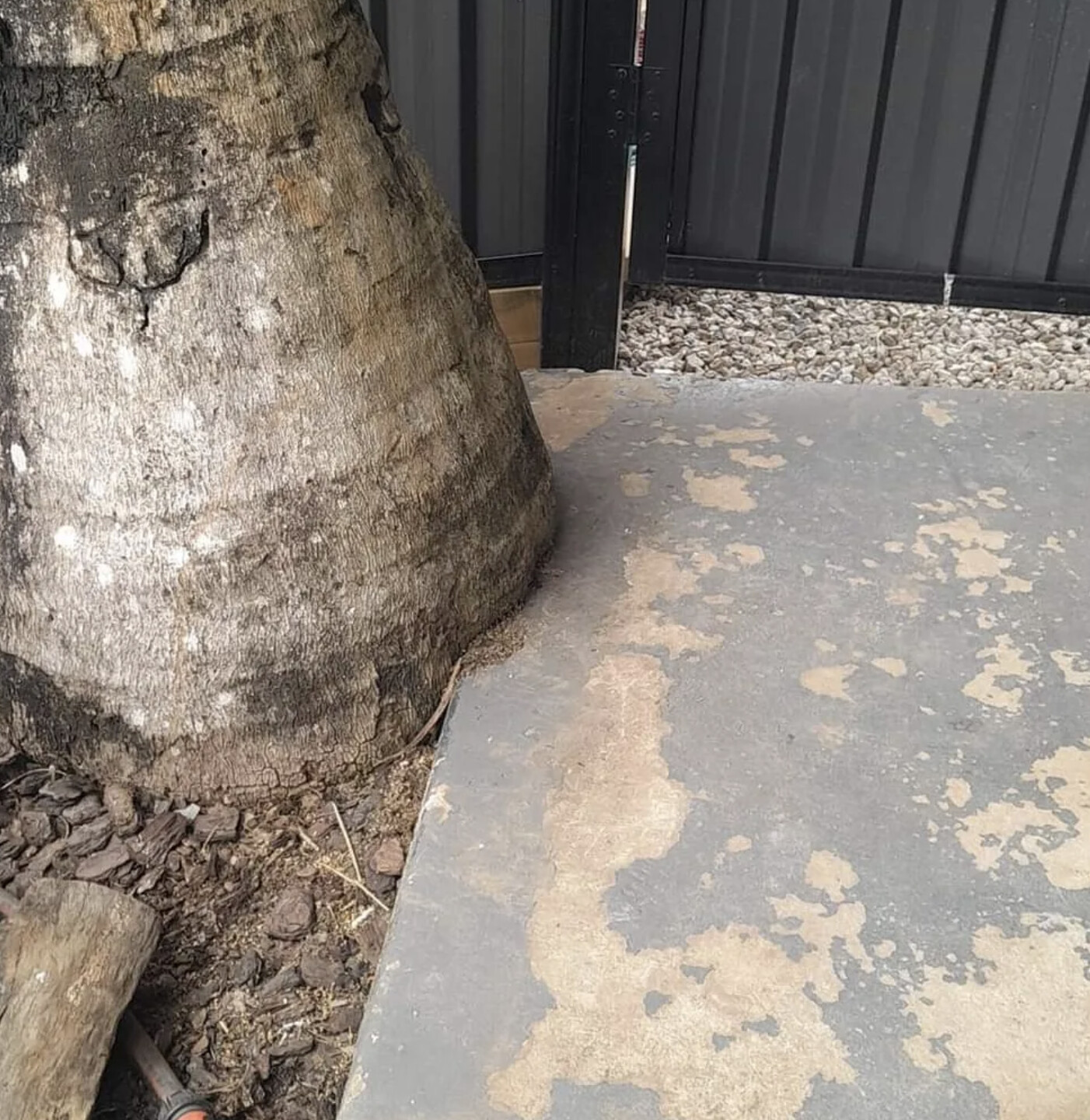 Stained, flaking concrete path before resurfacing